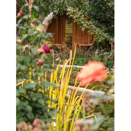 Good Living Studio Chalet